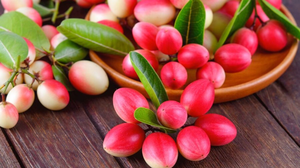 Health Benefits of Karonda: Here's How You Can Include It In Your Diet
