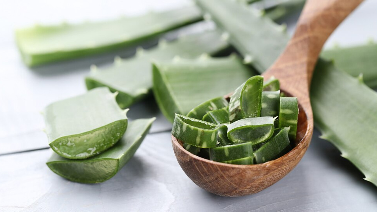 aloe-vera