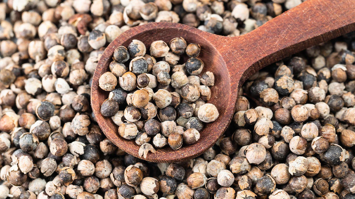 How Chasteberry Helps Manage Hormonal Imbalance In Women