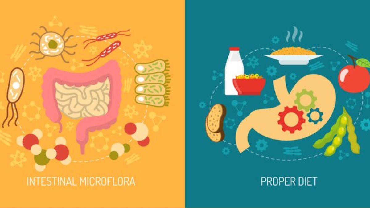 Suffering From GI Disorders? Here’s Why You Should Try The FODMAP Diet