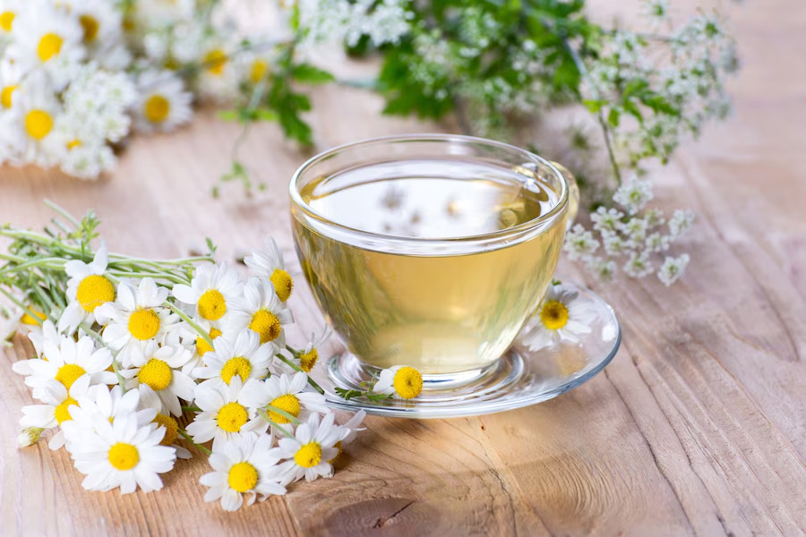 chamomile-tea