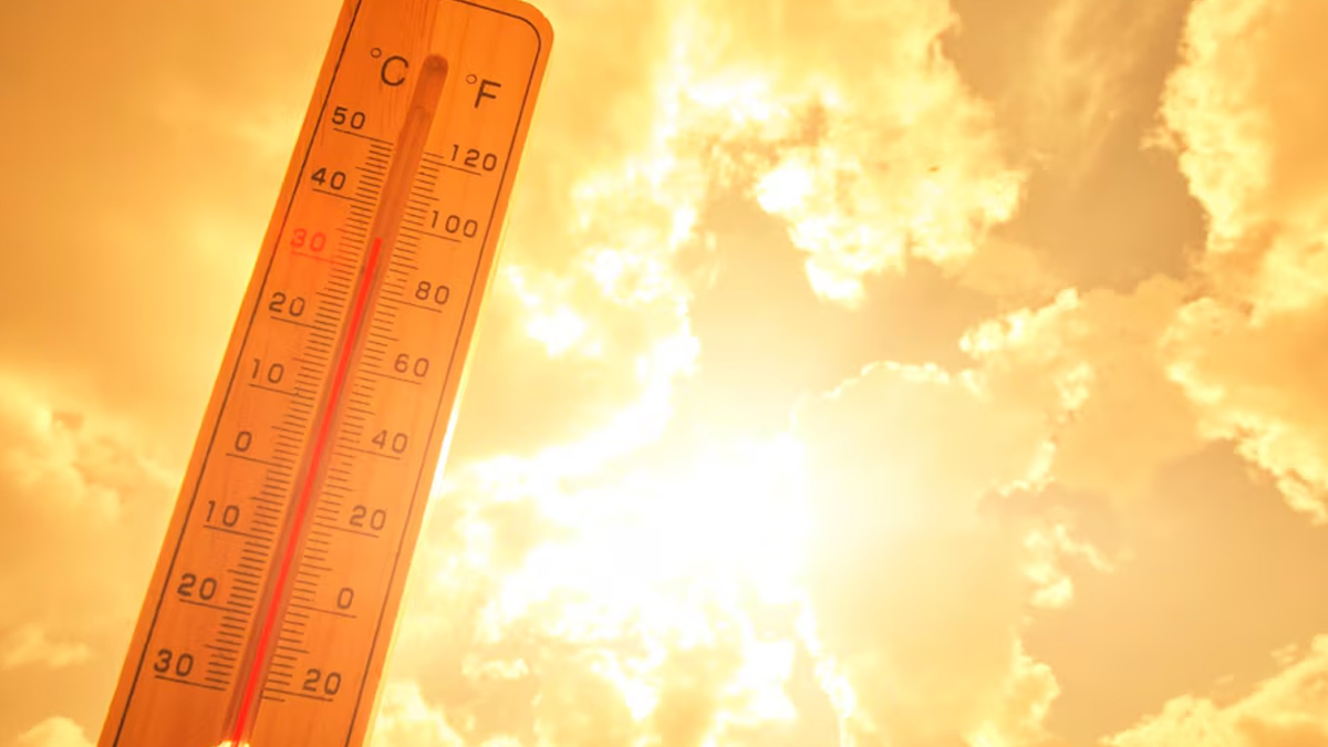 Doctors Warn That Heatwave May Trigger Lupus: Symptoms And Tips To Manage