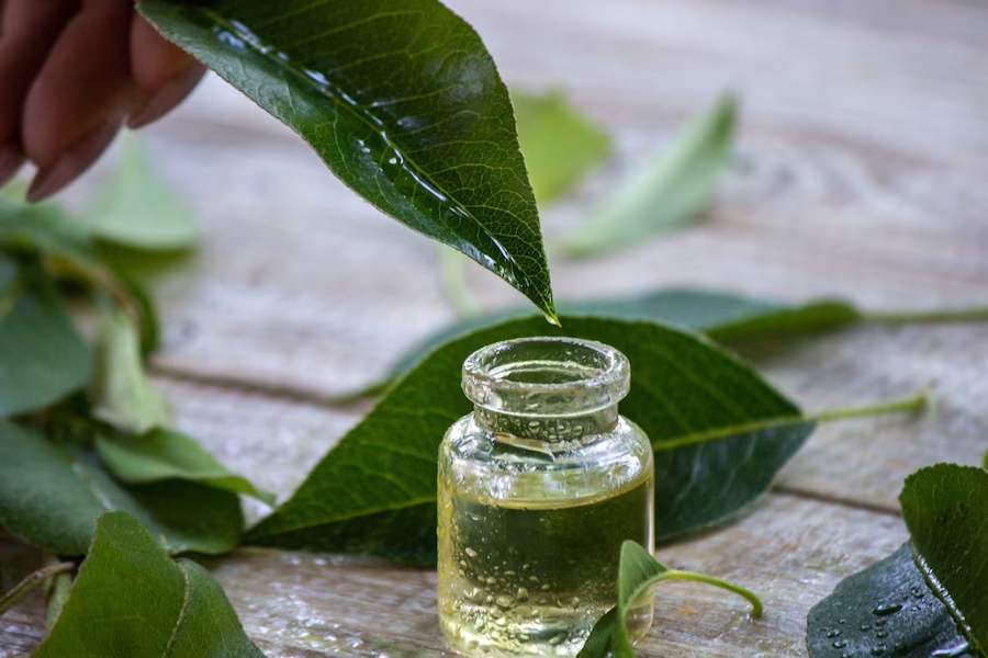 tea-tree-oil