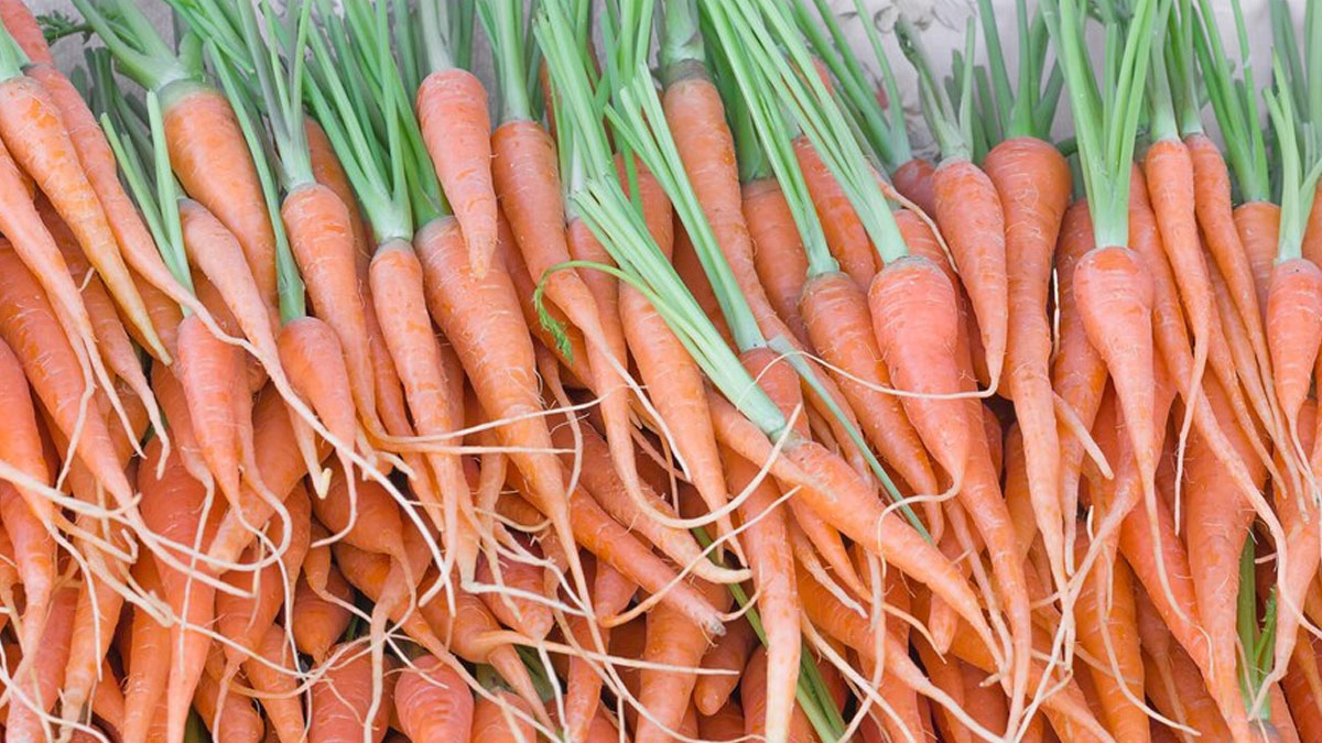 DIY Carrot Masks To Boost Hair Growth