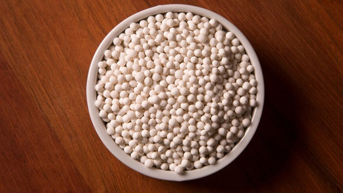 How Sabudana Helps Boost Metabolism