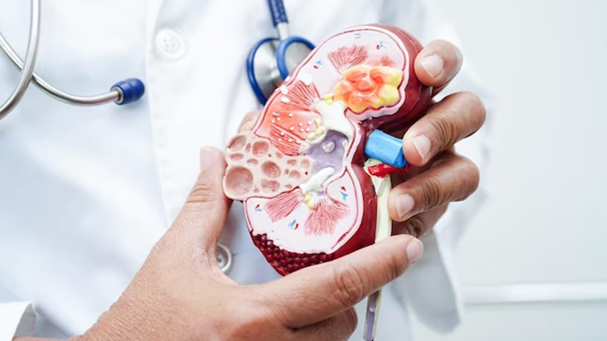 Causes of Low Creatinine Levels In Hindi