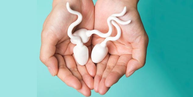 Benefits Tips for Preservation and How Sperm Banking Works