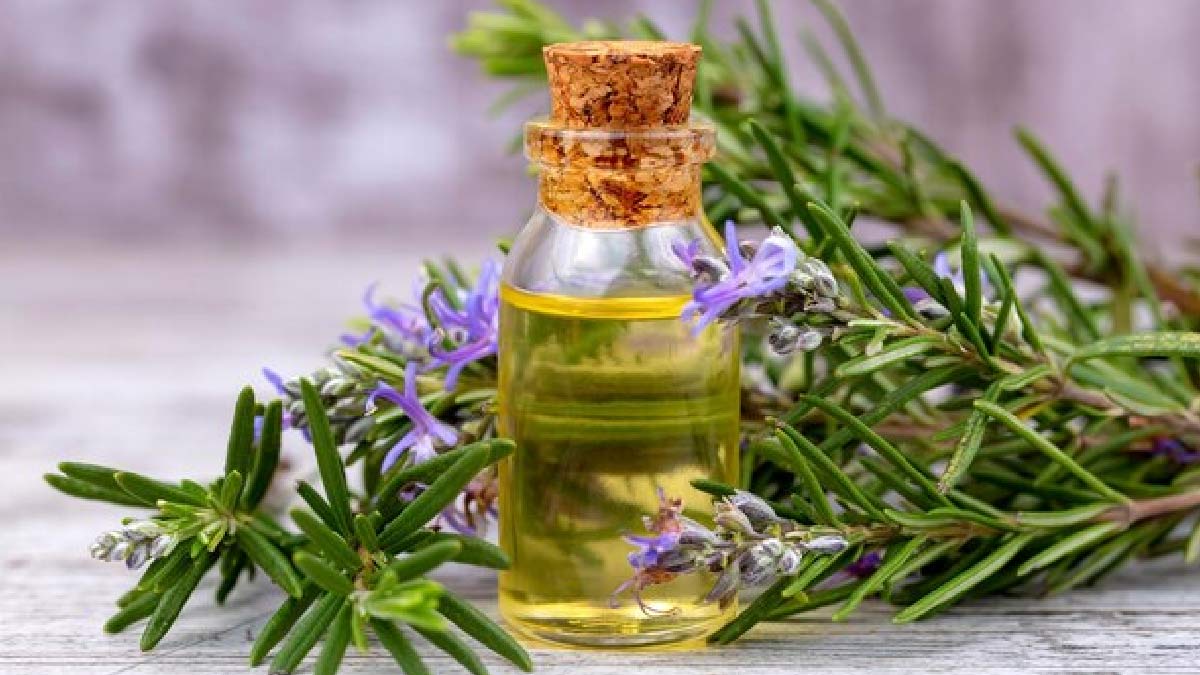 rosemary spray for hair growth