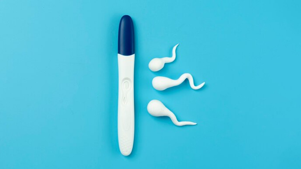 Doctor Explains Criteria To Be An Egg/Sperm Donor In India And Rules That Intended Couples Must Follow