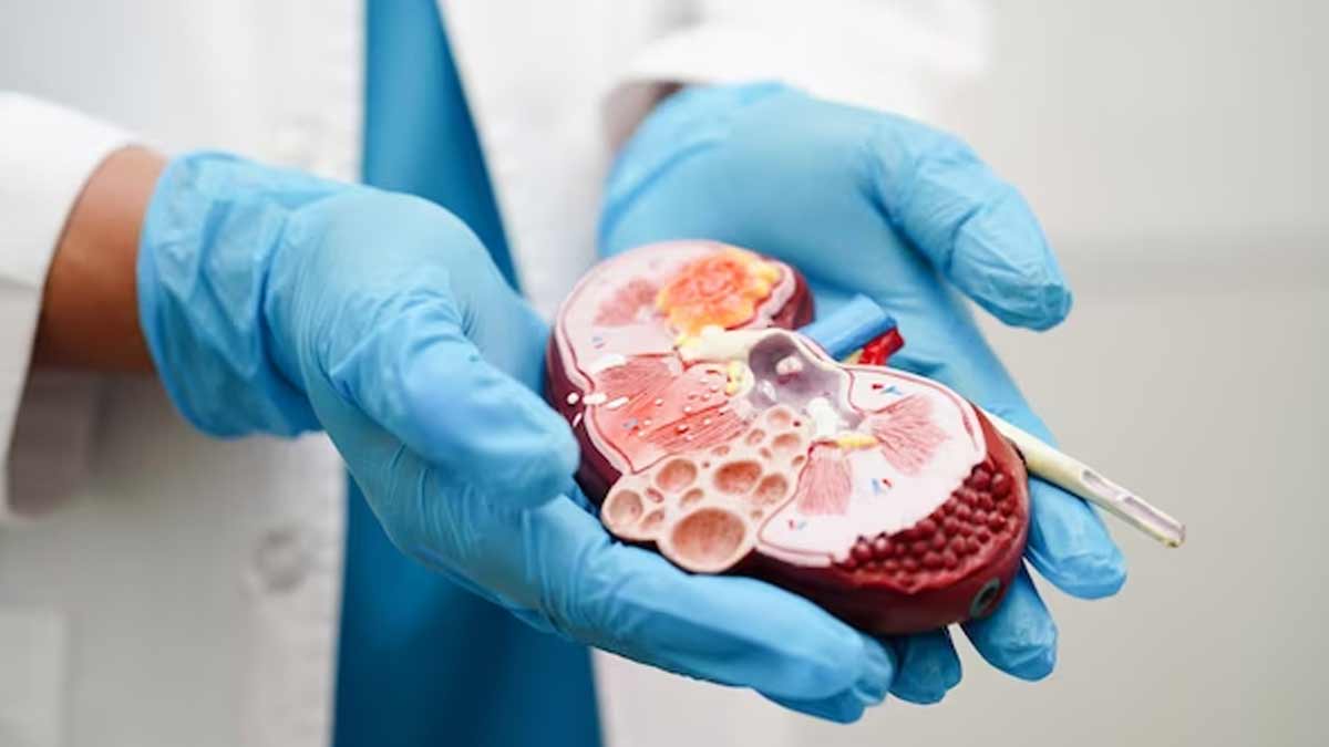 Can Drinking Water Lower Creatinine Level In Hindi