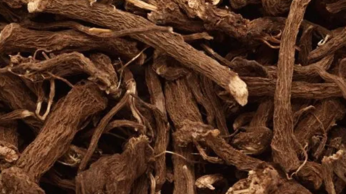 Benefits Of Vacha For The Nervous System: Expert Shares How To Use This Herbal Remedy