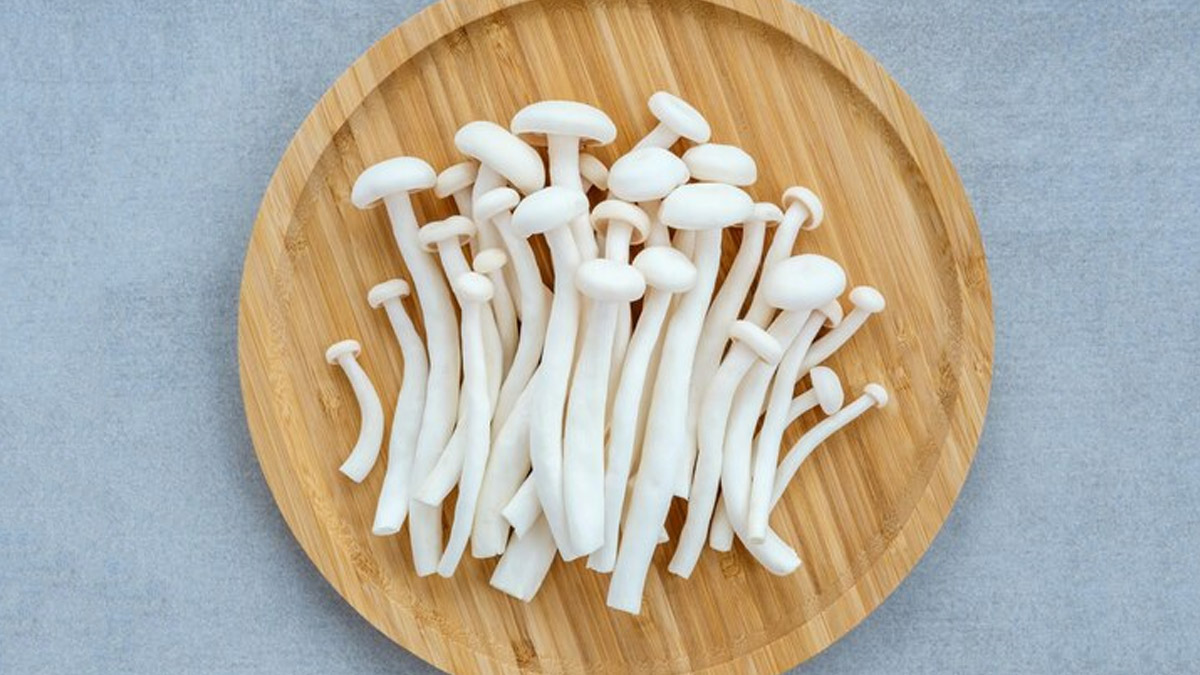 enoki-mashroom-ins
