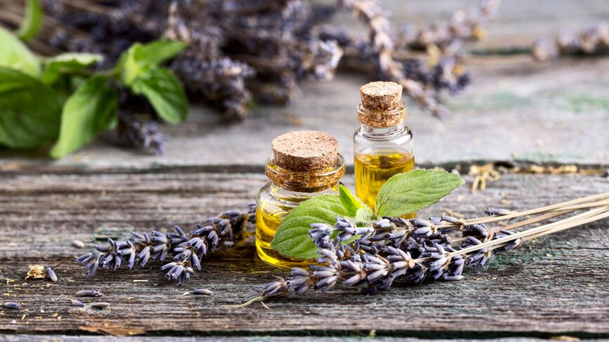 lavender-oil