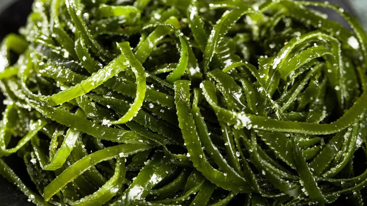 Unveiling the Protein Secrets of Algae And How To Include It In Your Diet?