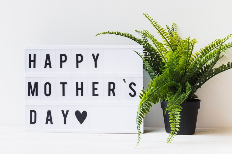 Mothers Day 2024 Date Theme History and Significance