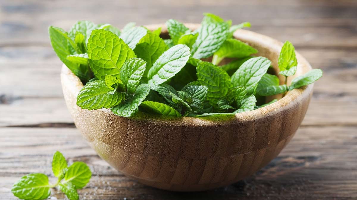 mint leaves