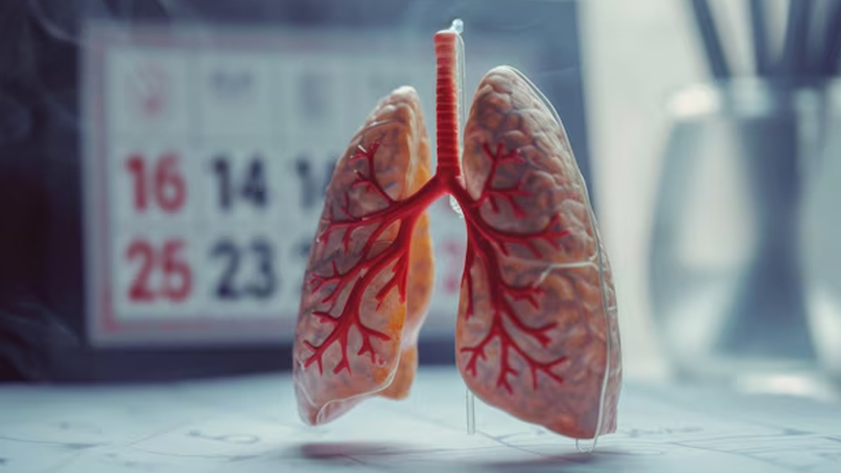 What Is The Main Cause Of Pulmonary Fibrosis?