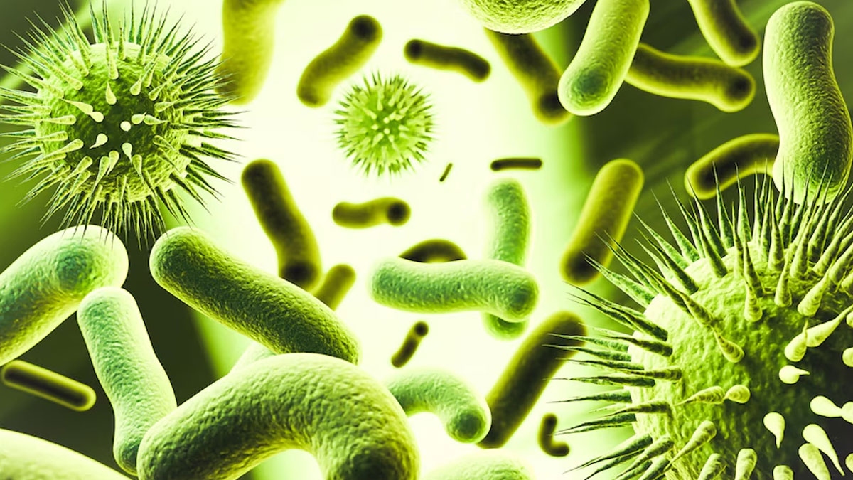 In A Call To Action Against Drug-Resistant Infections, WHO Updates Its Bacterial Priority Pathogens List
