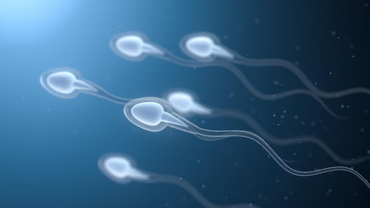 Scientists Find Microplastics In Human Testicles: Here's How It Affects Men's Health