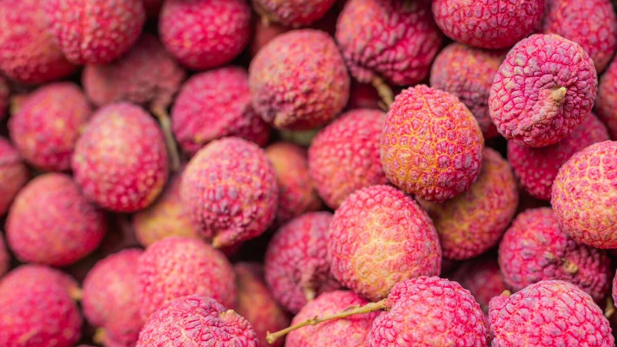 Health Benefits Of Lychee