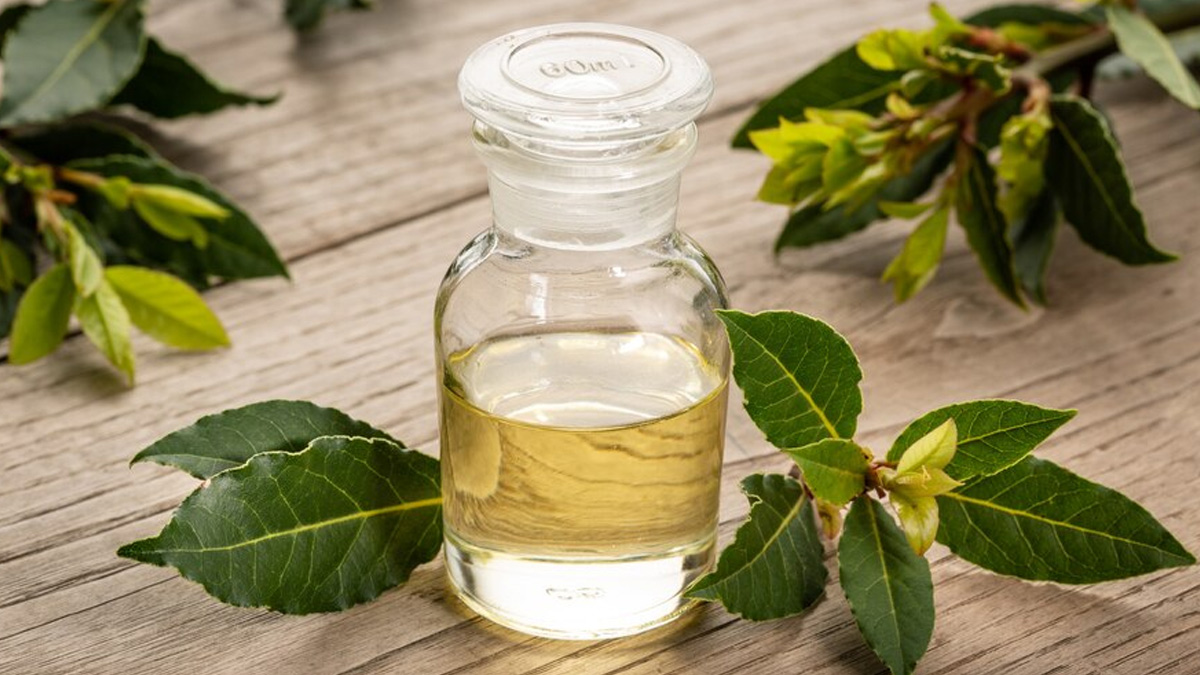 tea-tree-oil