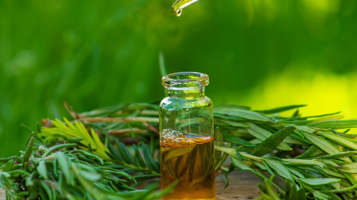 tea-tree-oil