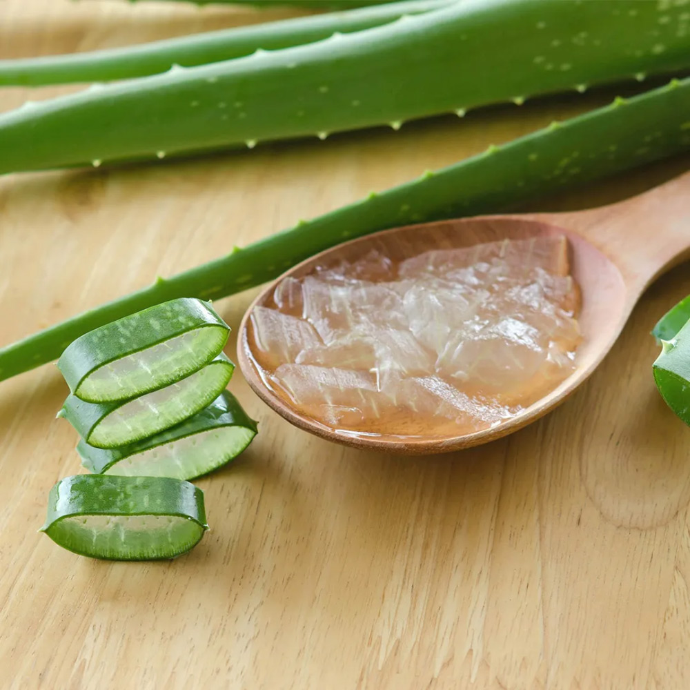 aloevera
