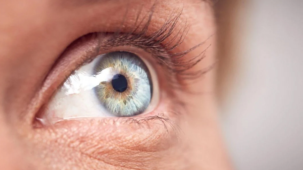 diabitic retinopathy