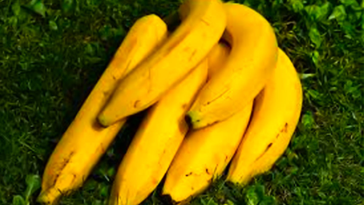 कार्बाइड केमिकल से पकाए गए केमिकल की पहचान कैसे करें?- How to Identify Carbide Ripened Bananas