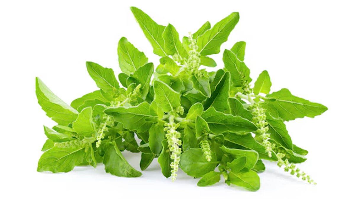 Ayurvedic remedies to get relief from chest pain in Hindi