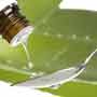 Ayurvedic Treatment for Liver Infection