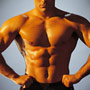 Top 10 Muscles that Women Love