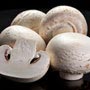 Want to improve hearing? Eat mushrooms