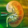 Keep Your Kidneys Clear