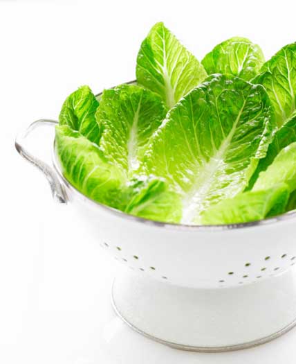 फेफड़ों के लिए हितकर हैं लेट्यूस