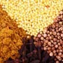 Herbs for more effective meditation