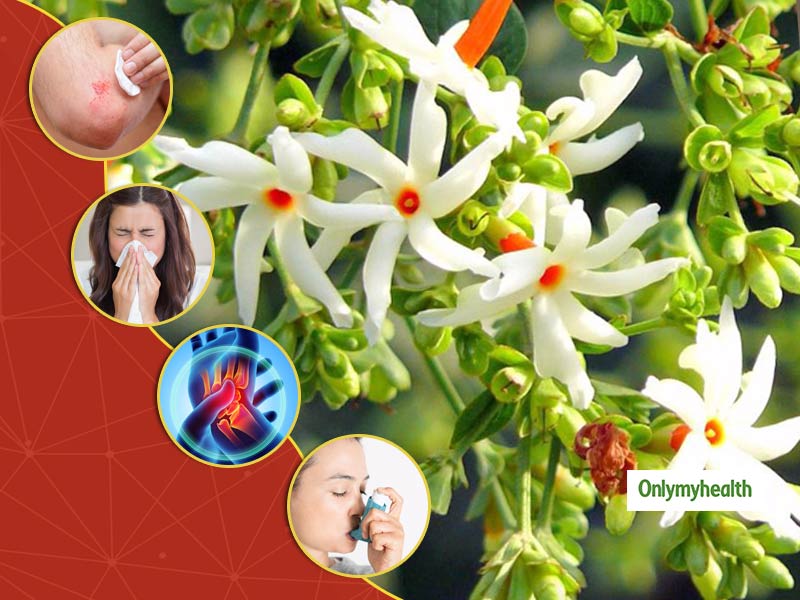 All You Need To Know About The Medicinal Benefits Of Parijat Or Night Jasmin