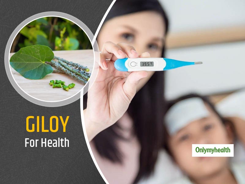 Giloy Health Benefits: How And Why To Use Giloy?