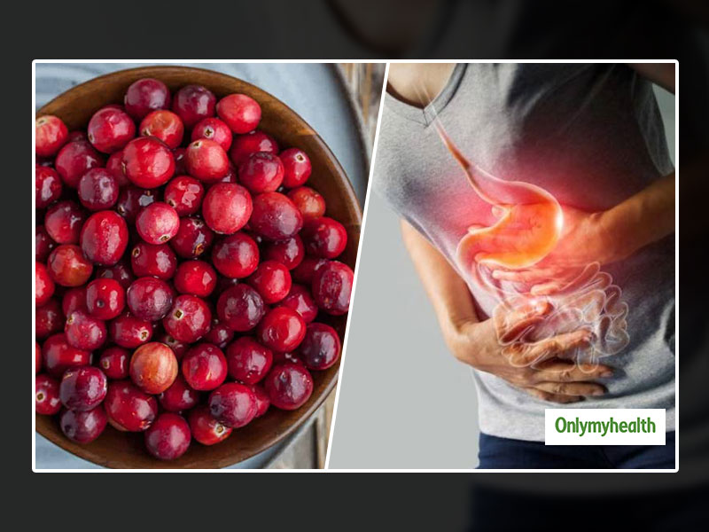 Can Cranberries Cure Gastrointestinal Problems In Adults Let s