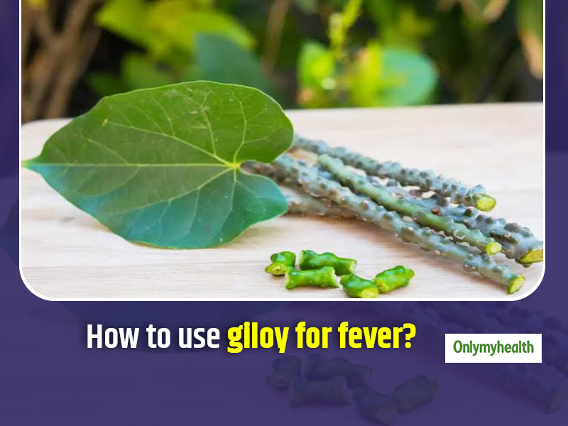 How To Use Giloy To Treat Fever? Check Out The Process 