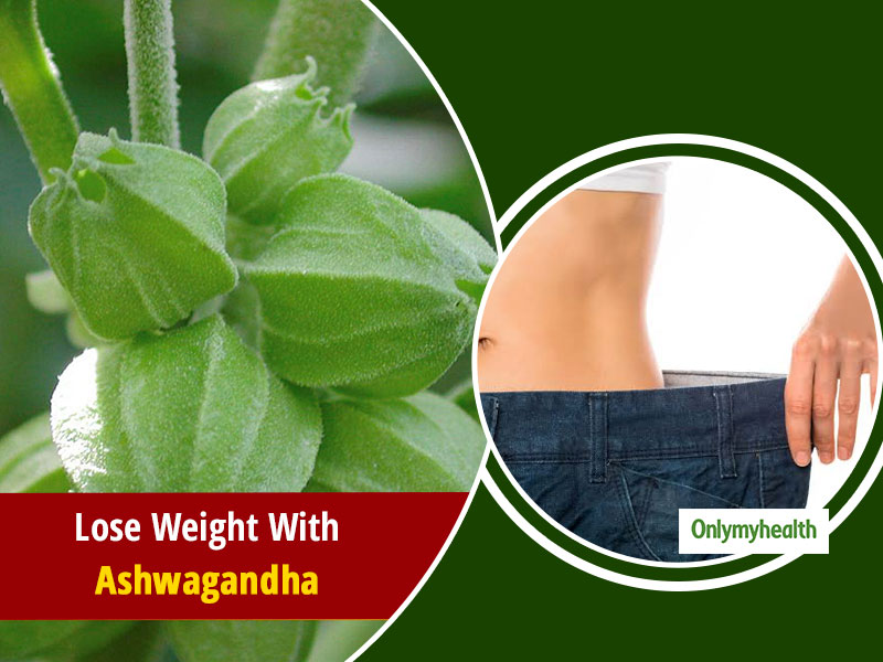 Why Is Ashwagandha Used For Weight Loss? Know Its Health Benefits And Much More 