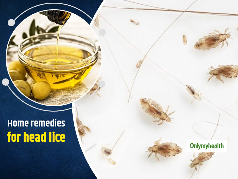 Lice In The Hair Making Life Miserable For You? Make Use Of These