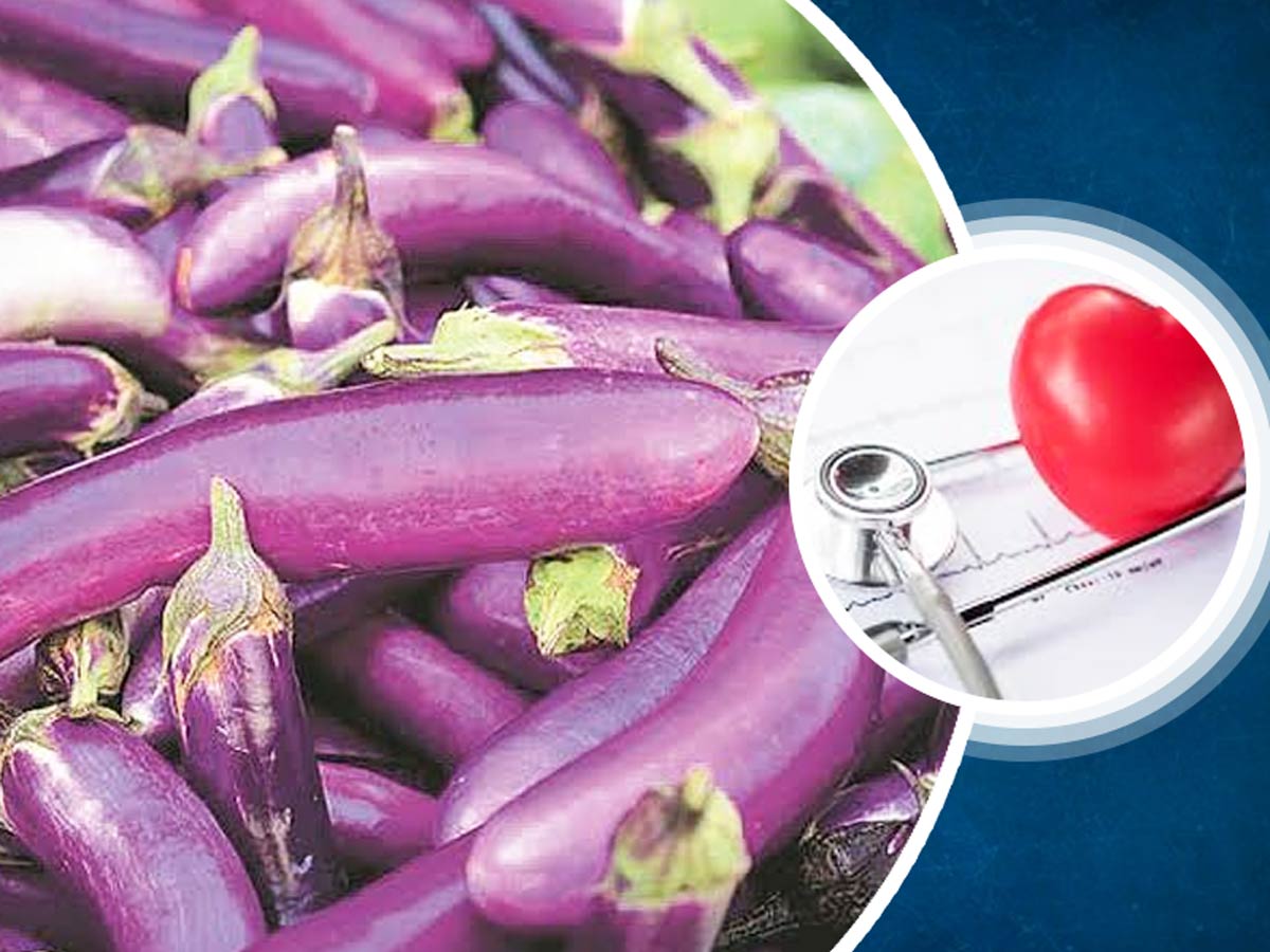 Love Eating Eggplant? Here Are The Health Benefits, Risks, Nutritional  Value And Ways To Consume Brinjal