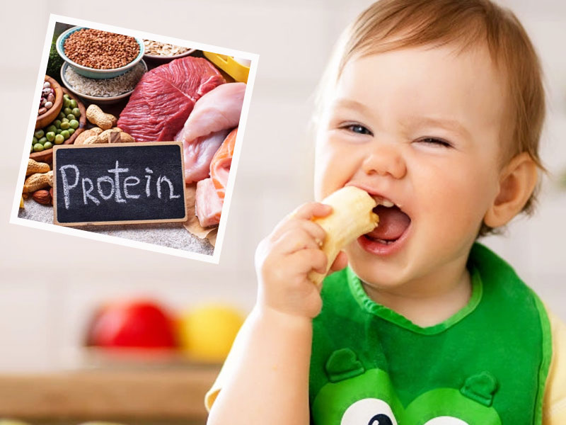 Is Your Child Getting Enough Protein? Know Role Of Protein And Its Sources
