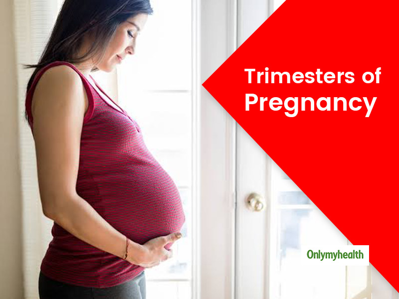 Stages Of Pregnancy: Here's The Baby Development, Symptoms And Self Care Tips For All Three Trimesters 
