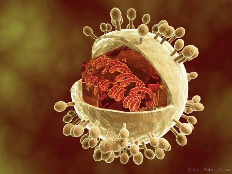 Here Is What You Should Know About Cytomegalovirus And Coronavirus