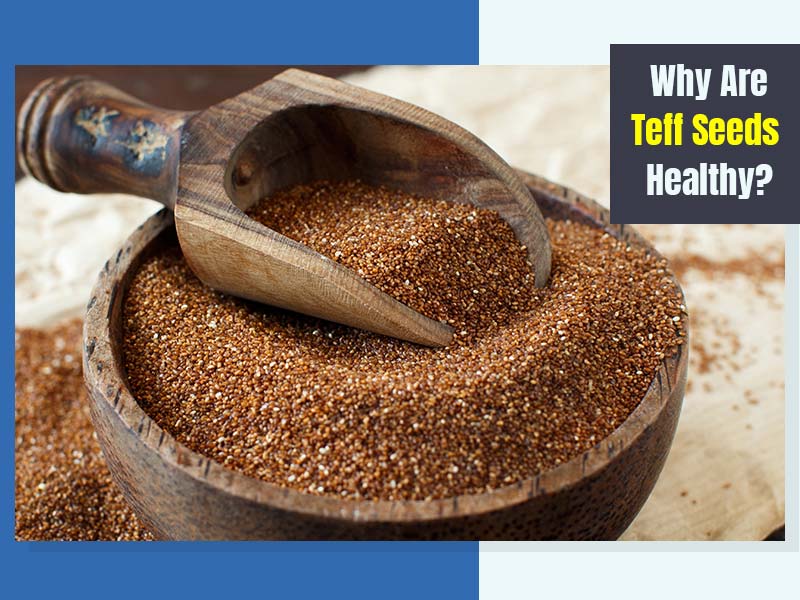 5 Healthy Reasons Why Teff Seeds Should Be Added In Your Daily Diet