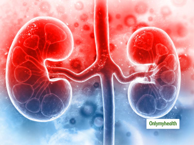 How To Manage Chronic Kidney Disease? Tips On Symptoms, Tests To Diagnose And Essential Diet Tips By Experts