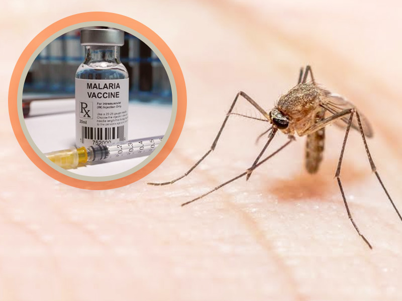 WHO Approves World's First Vaccine For Malaria Called Mosquirix