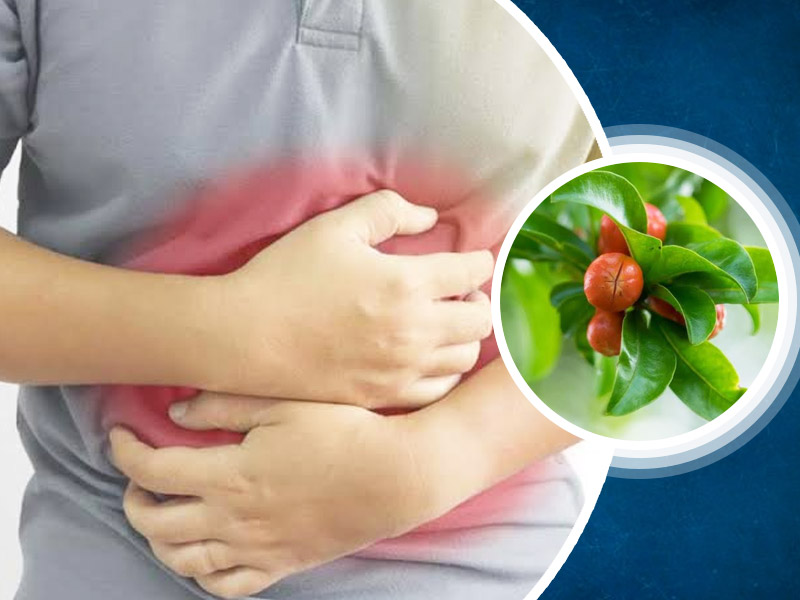 Pomegranate Tree Leaves Treat Stomach Pain? Here Are Its 6 Amazing Health Benefits